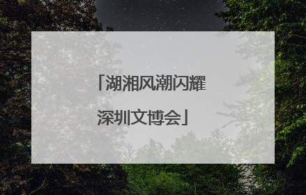 湖湘风潮闪耀深圳文博会